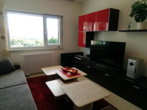 Apartment Svoboda
